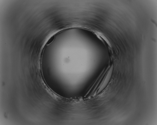 X0000091891148200709191212