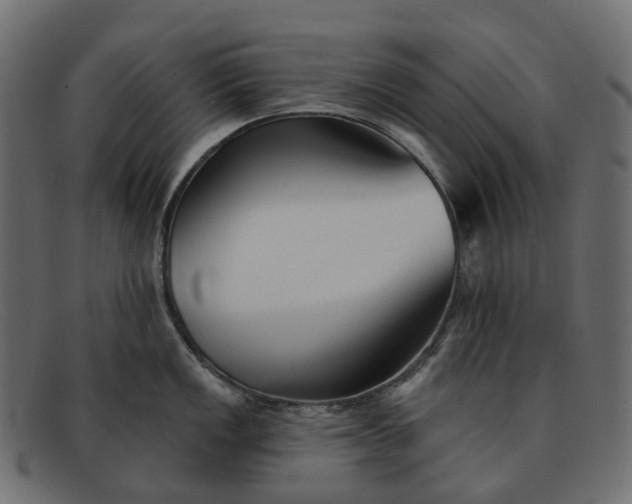 X0000091891149200709191212