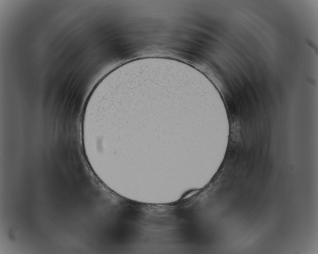 X0000091891150200709191212