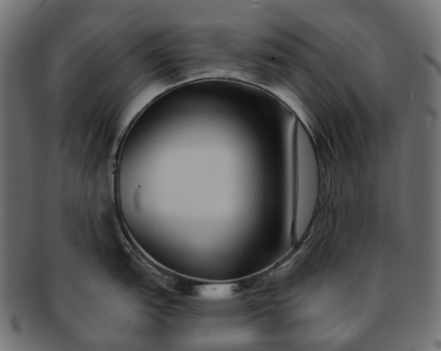 X0000091891151200709191212