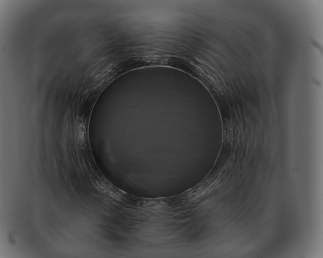 X0000091891154200709191211