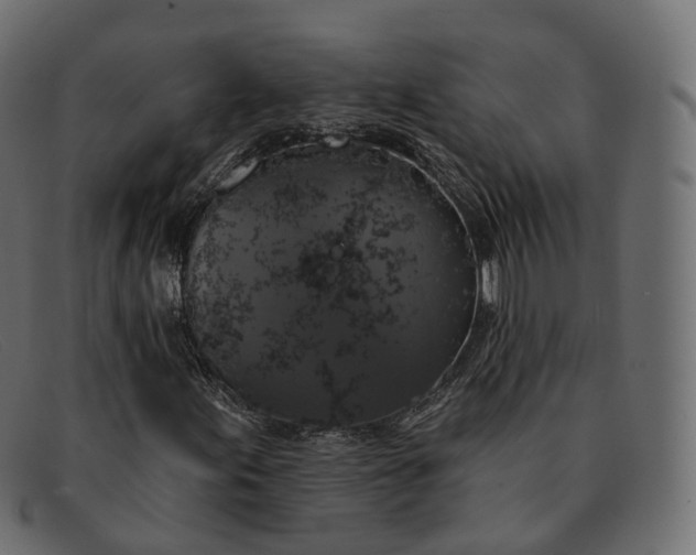 X0000091891155200709191211