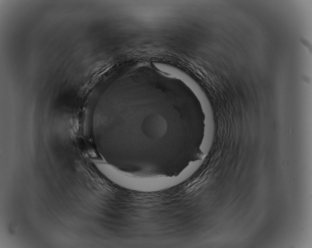 X0000091891156200709191211