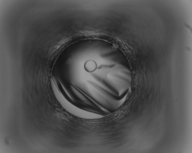 X0000091891157200709191211