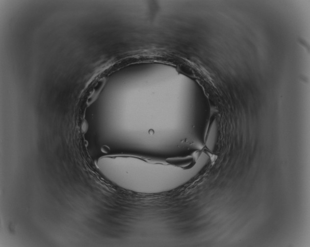 X0000091891160200709191211