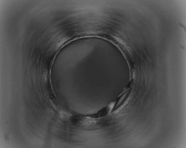 X0000091891161200709191211