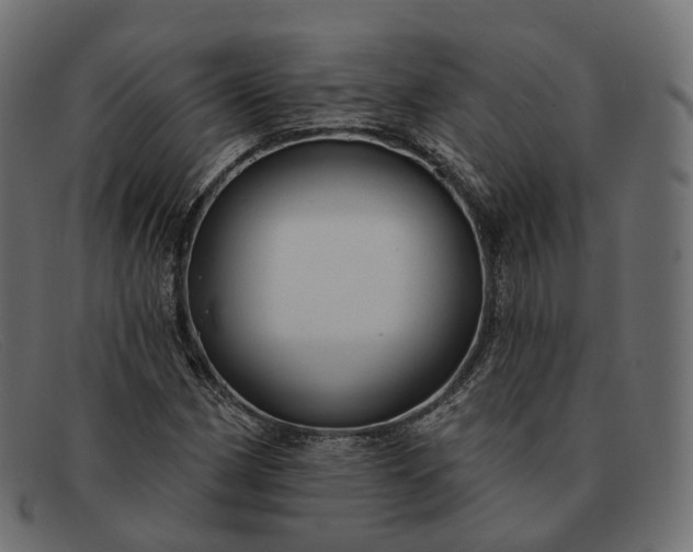 X0000091891162200709191211