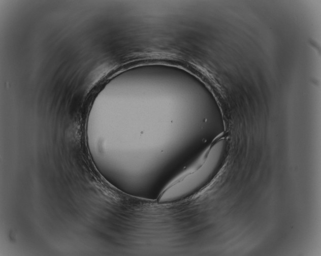 X0000091891163200709191211