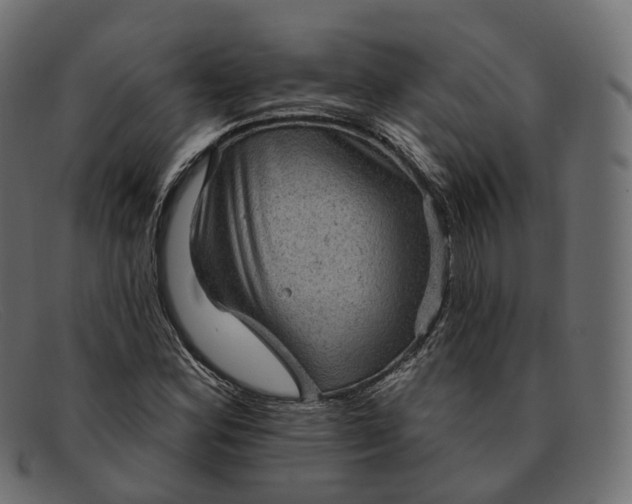 X0000091891164200709191211