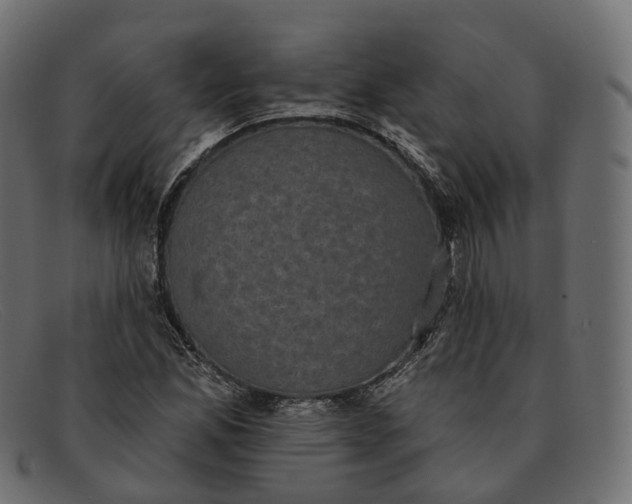 X0000091891165200709191211