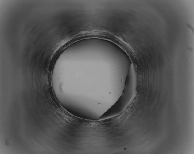 X0000091891166200709191211