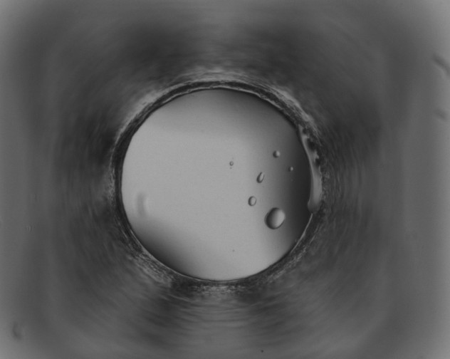 X0000091891167200709191211