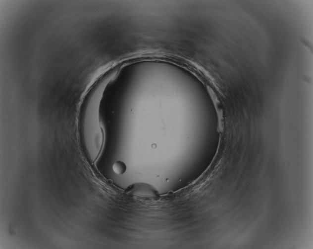 X0000091891168200709191211