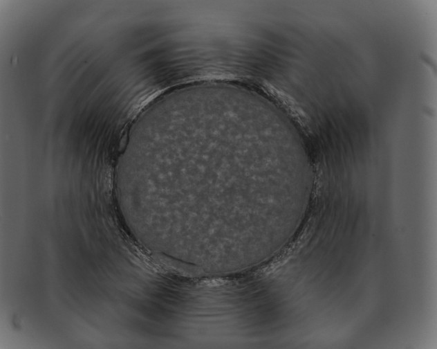 X0000091891169200709191211