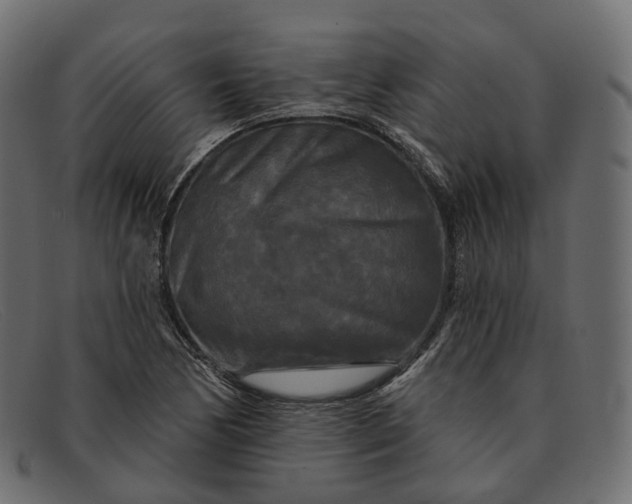 X0000091891170200709191211