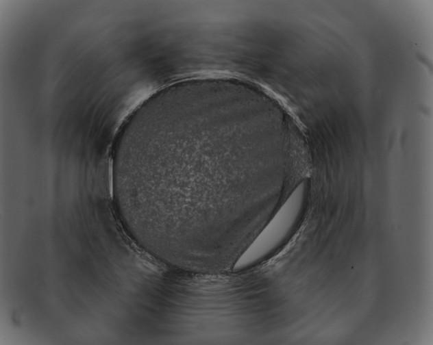 X0000091891171200709191211