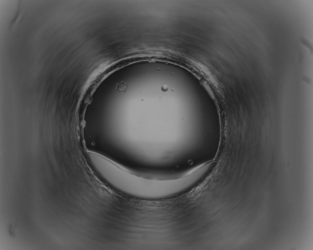 X0000091891172200709191211