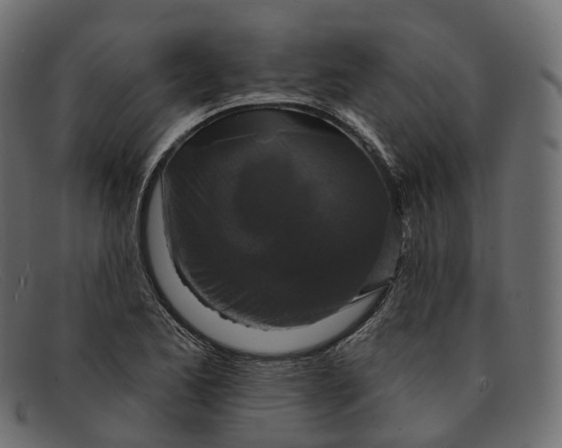 X0000091891173200709191211