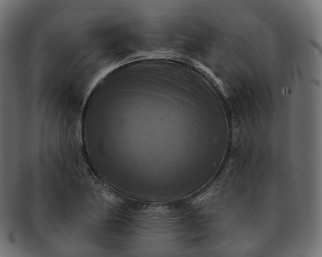 X0000091891174200709191211