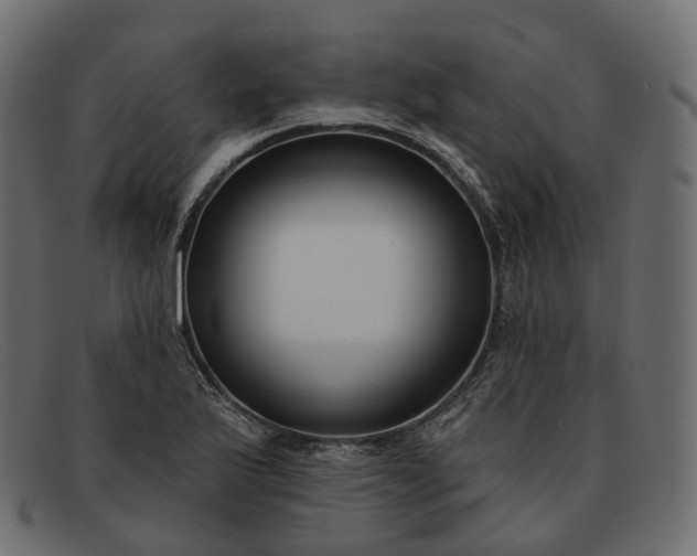 X0000091891175200709191211