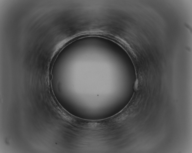 X0000091891176200709191211