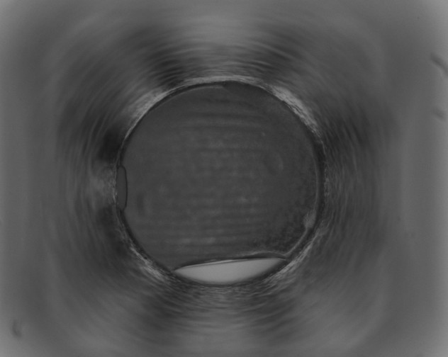 X0000091891177200709191211