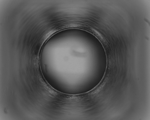 X0000091891178200709191211