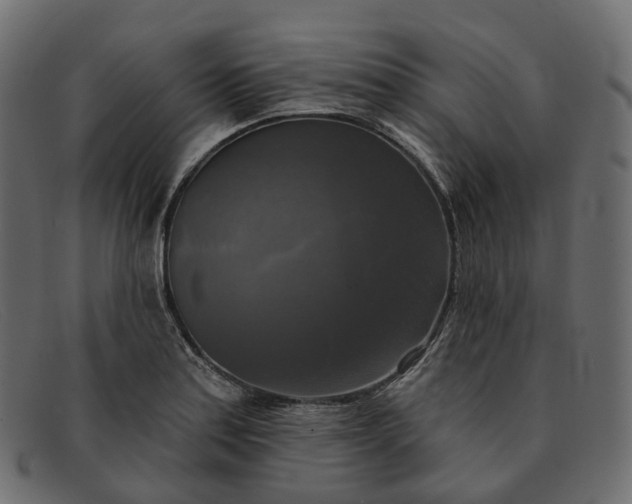 X0000091891179200709191211