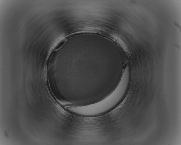 X0000091891180200709191211