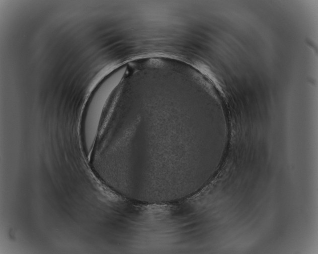 X0000091891181200709191211