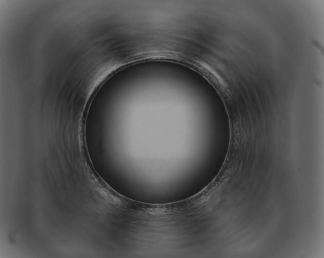 X0000091891182200709191211
