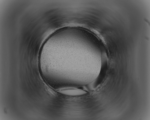X0000091891183200709191211