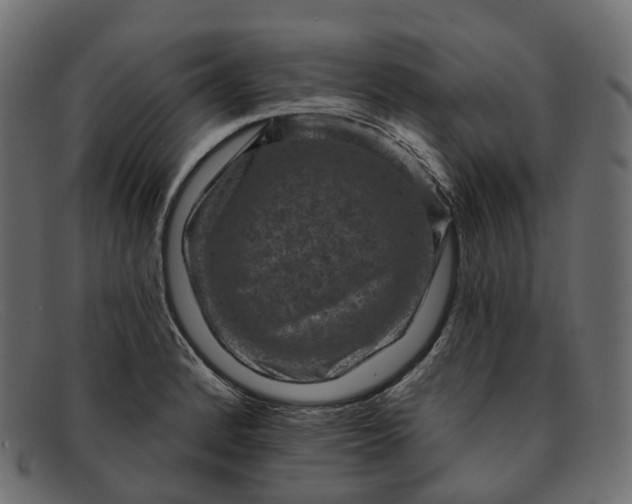 X0000091891184200709191211