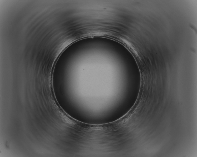 X0000091891186200709191211