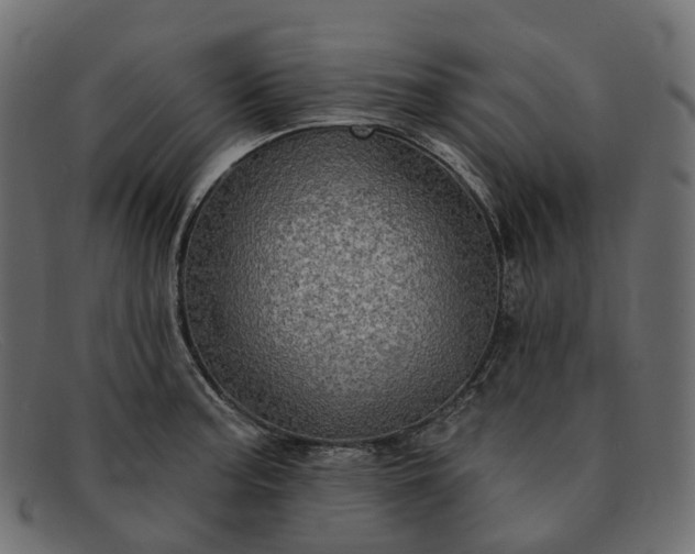 X0000091891187200709191211