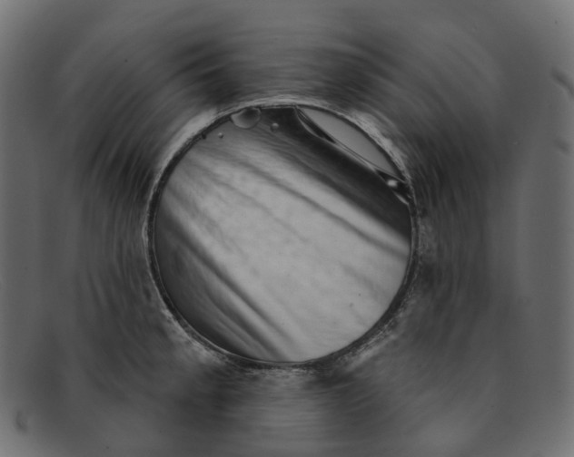 X0000091891189200709191211