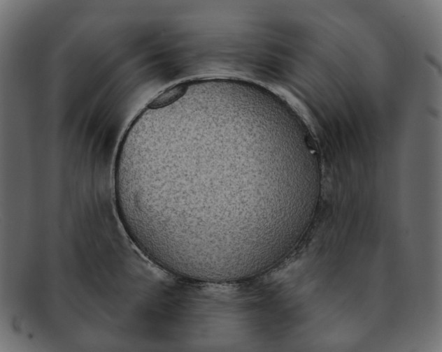 X0000091891191200709191211