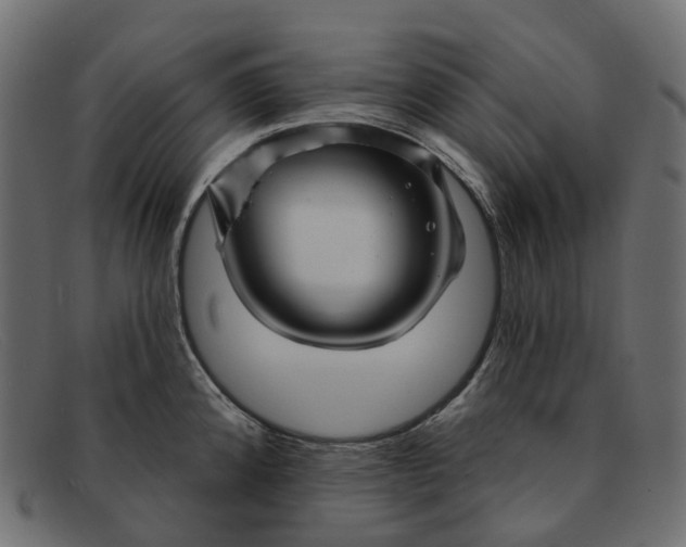 X0000091891192200709191211