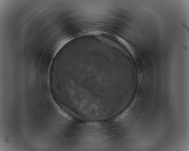 X0000091891194200709191211