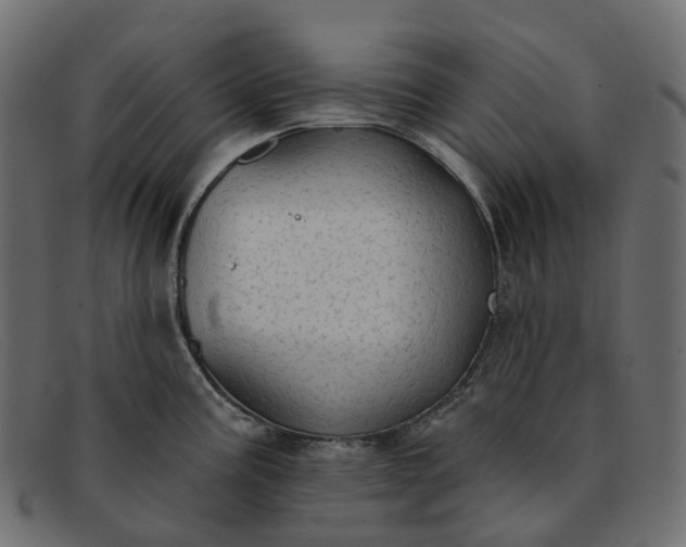 X0000091891195200709191211