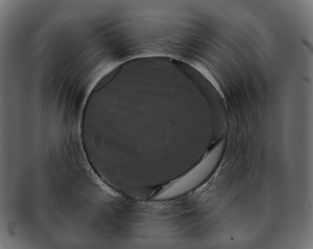 X0000091891197200709191211