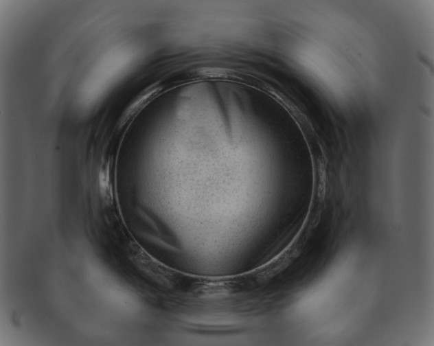 X0000091891198200709191211