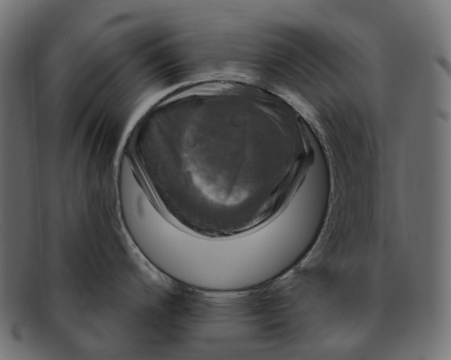 X0000091891200200709191211