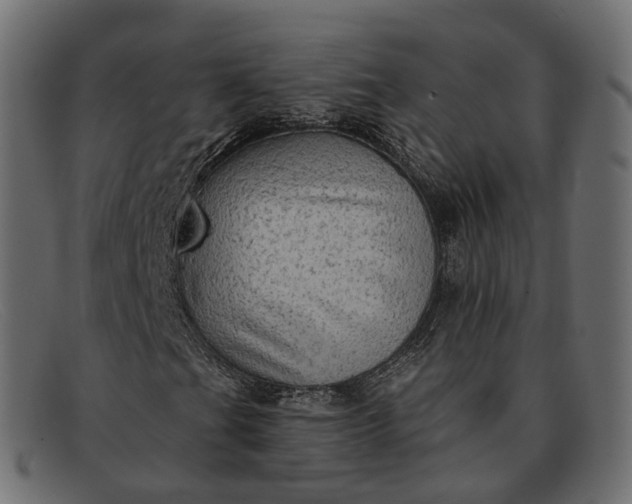 X0000091891201200709191210