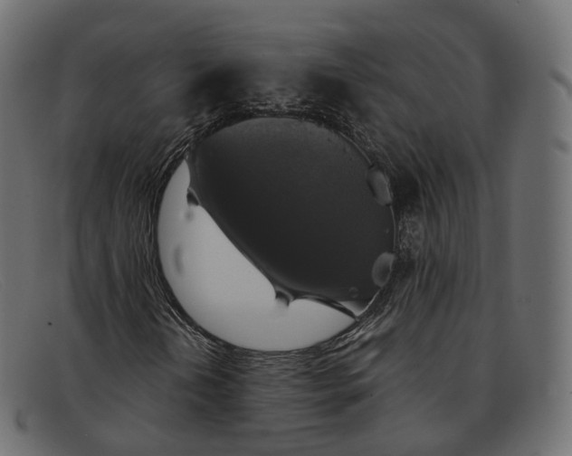 X0000091891202200709191210