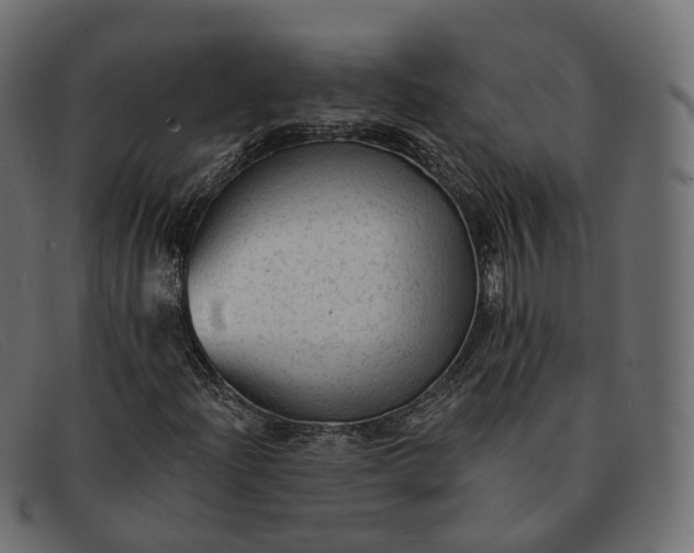 X0000091891204200709191210
