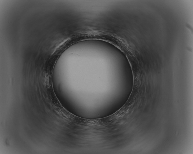X0000091891205200709191210