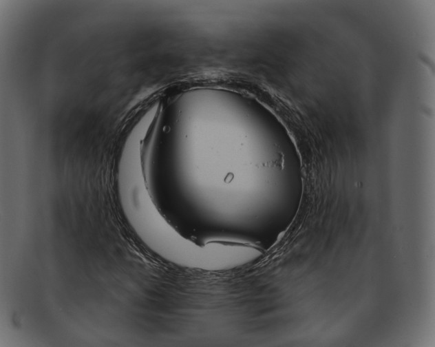 X0000091891206200709191210