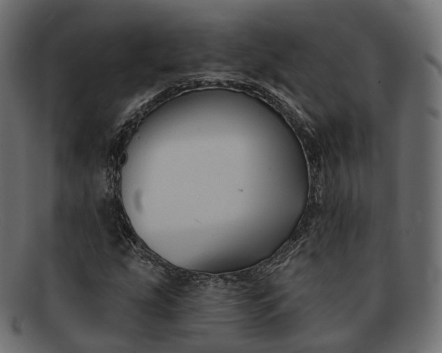 X0000091891207200709191210