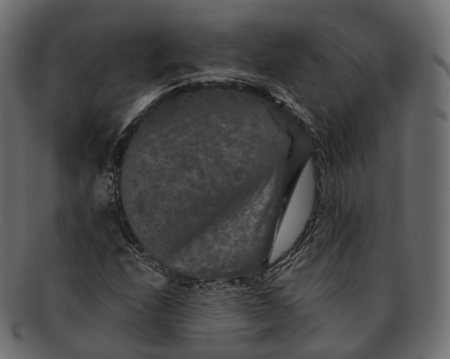 X0000091891208200709191210